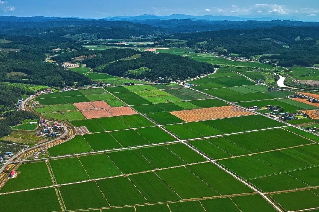 中國土地利用質(zhì)量顯著提升，助力經(jīng)濟高質(zhì)量發(fā)展