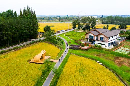 國資央企輸出助力鄉(xiāng)村振興特色樣本