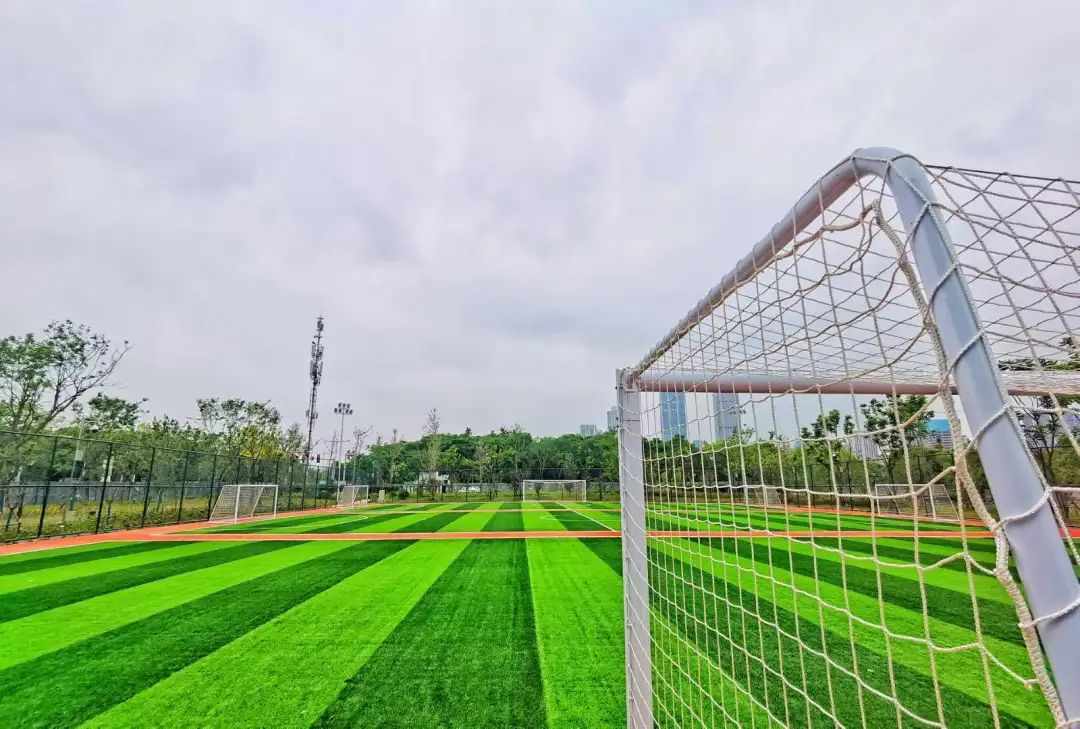 以人口為“定位器”布局體育公園，彰顯民生含金量