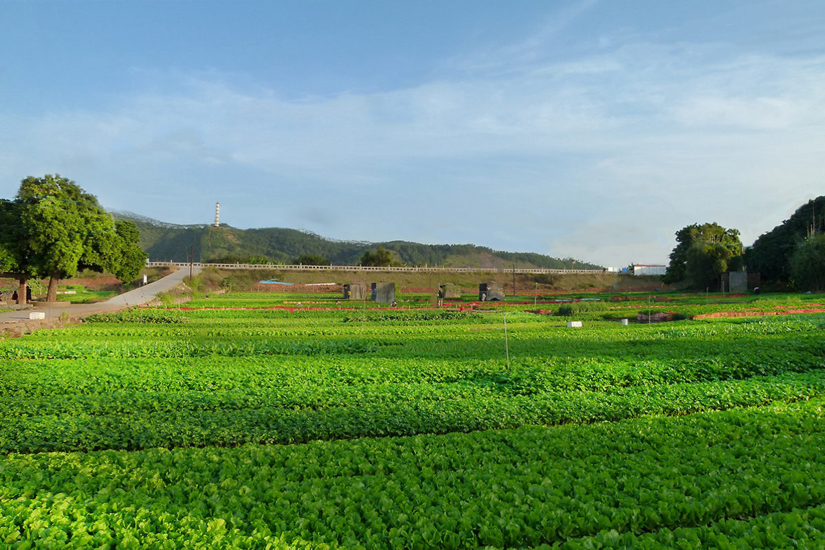 自然資源部：規(guī)范臨時(shí)用地 