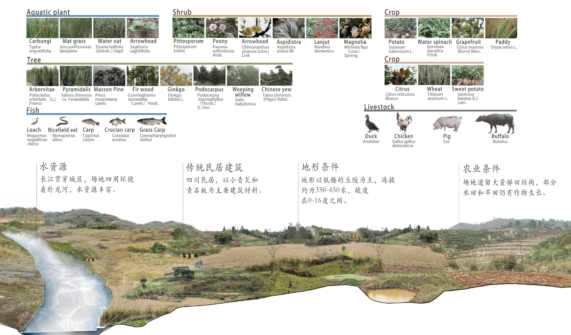 圖4場地動(dòng)植物資源分析（作者自繪）.png