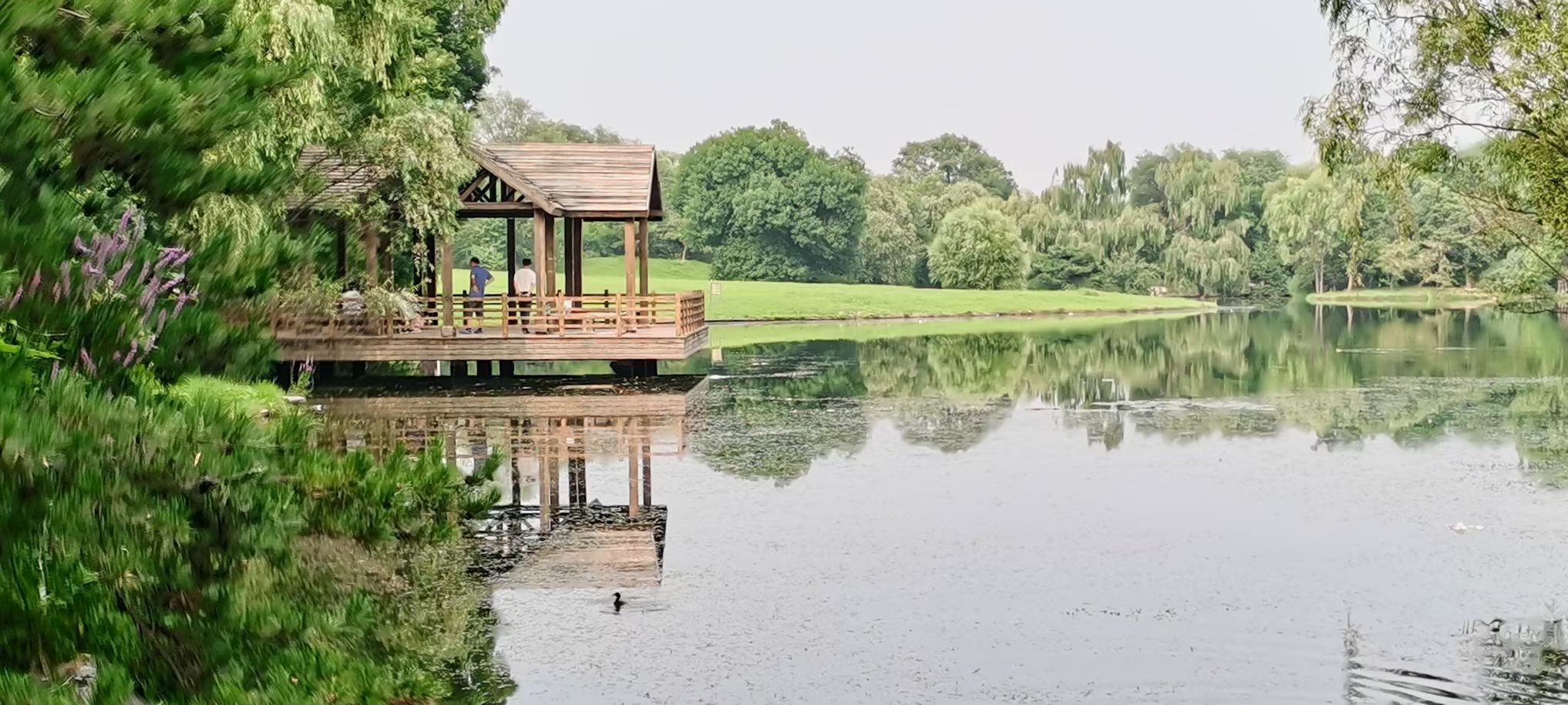 北京奧林匹克森林公園北園景觀.jpg