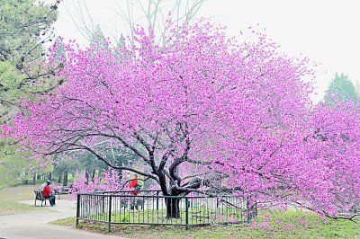 人居要聞|國(guó)家植物園，不只是看起來很美